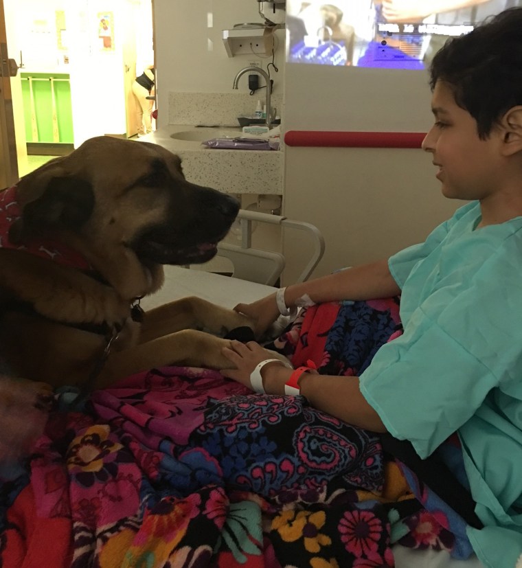 Tony Castro with a therapy dog following his surgery. 