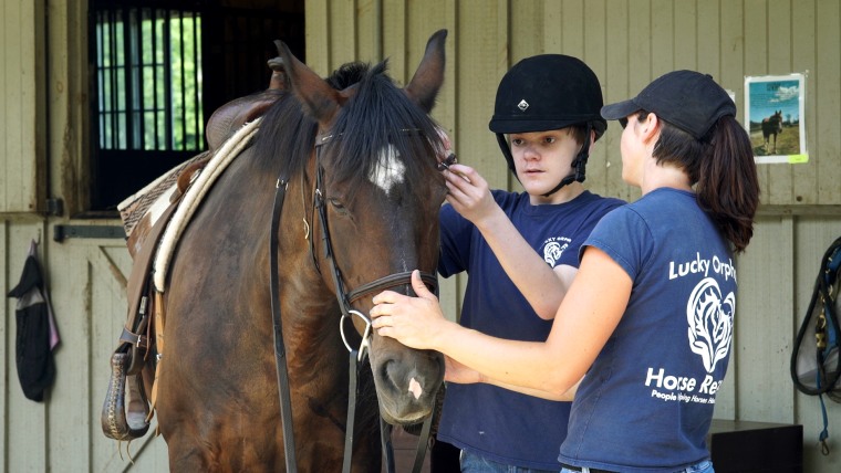 Lucky Orphans horse farm