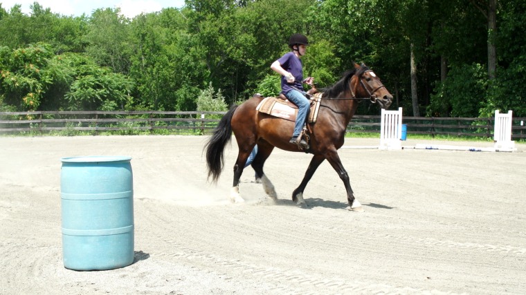 Lucky Orphans horse farm