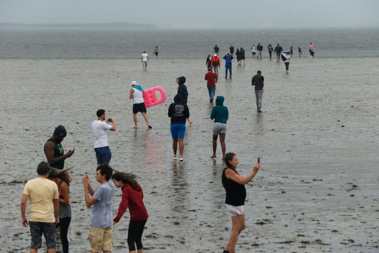 Image: Residents inspect the extreme receding water in Tampa Bay ahead of Hurricane Irma