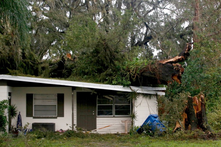 Image: A large tree lays on top of a home in Fort Meade on Sept. 11.