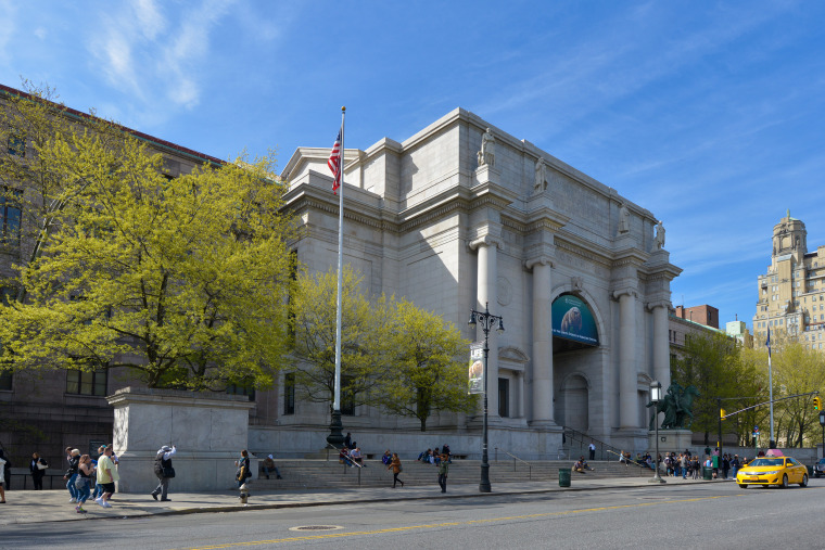 American Museum of Natural History in New York