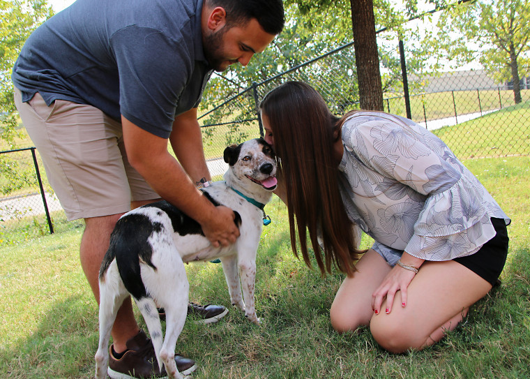 Dog abandoned by side of the road in Dallas is adopted