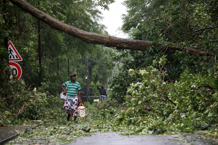 Image: A man looks at a fallen tree as he walks along a street after the passage of Hurricane Maria in Pointe-a-Pitre, Guadeloupe island