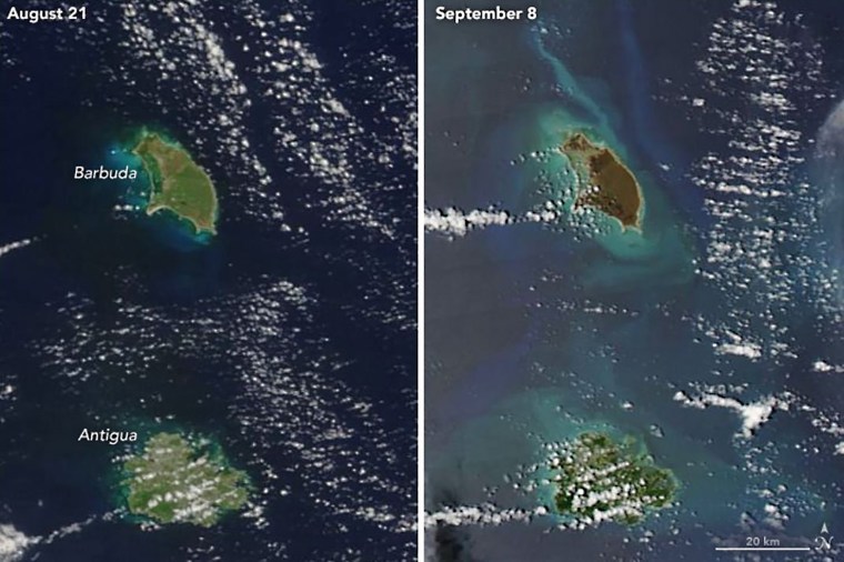 Image: Barbuda