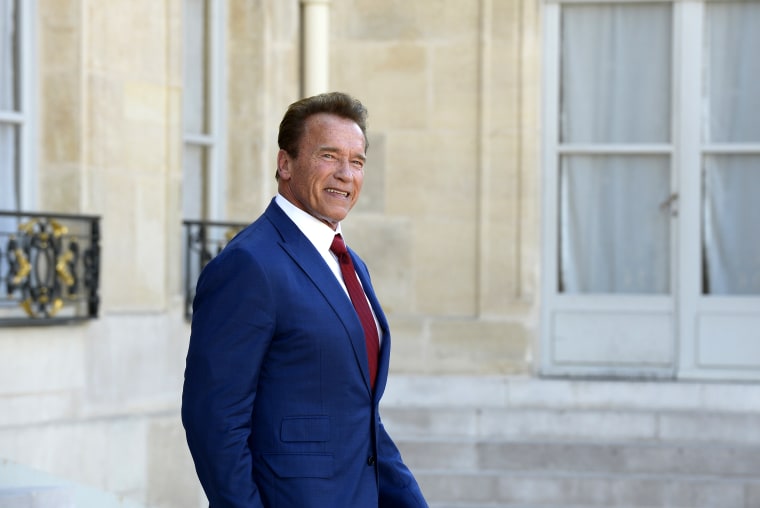 Image: Arnold Schwarzenegger At Elysee Palace
