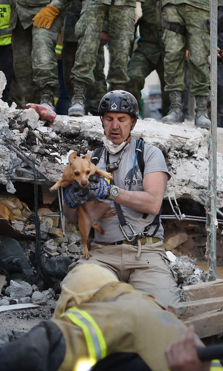 Image: A rescuer pulls a dog out of the rubble during the search for survivors in Mexico City