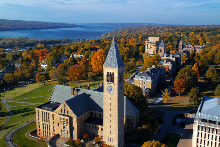 Image: Cornell University