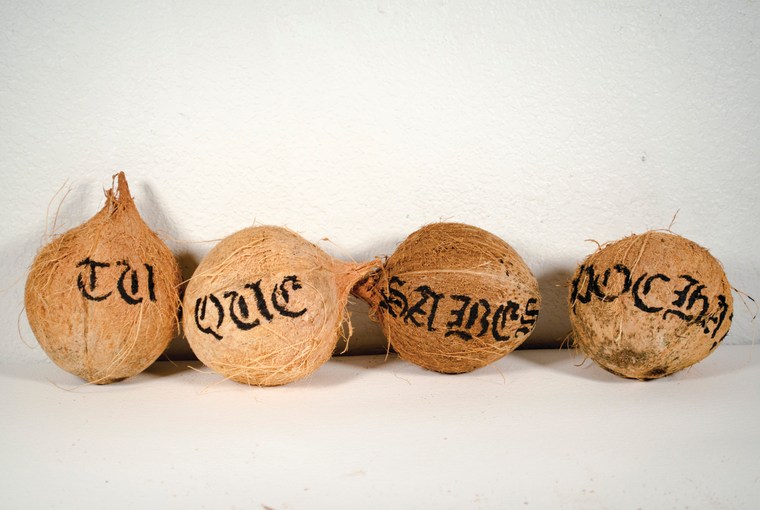 Coconuts with text by Fabiola Valenzuela.