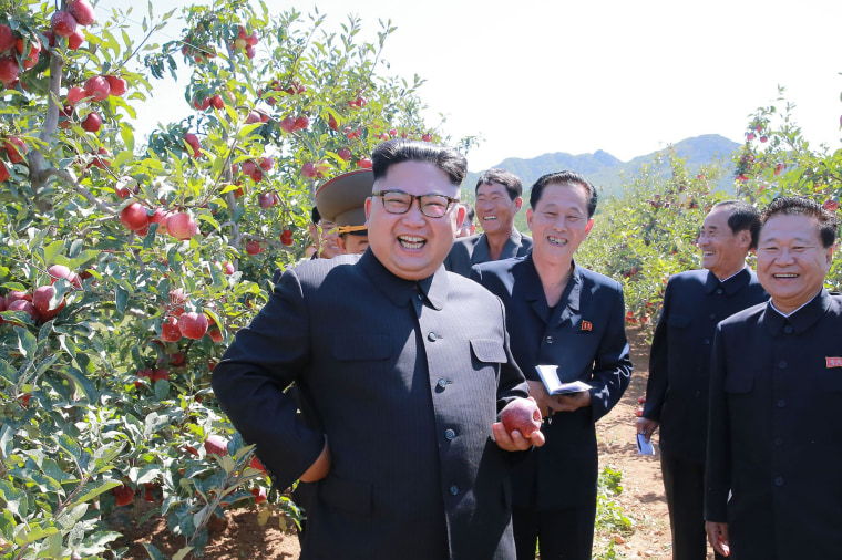 Image: North Korean leader Kim Jong-Un visiting a fruit farm
