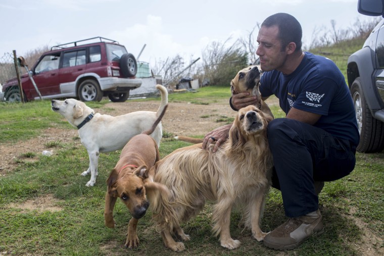 Hurricane Maria Response to help animals