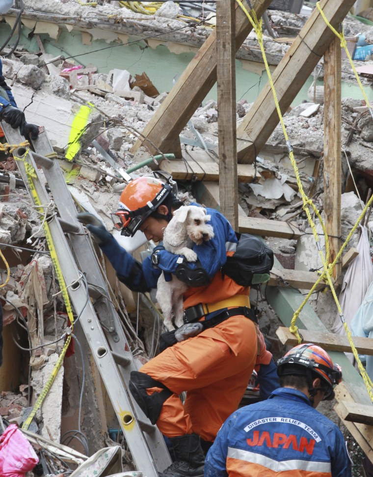 Image: Survivors rescue works continue despite aftershock in Mexico