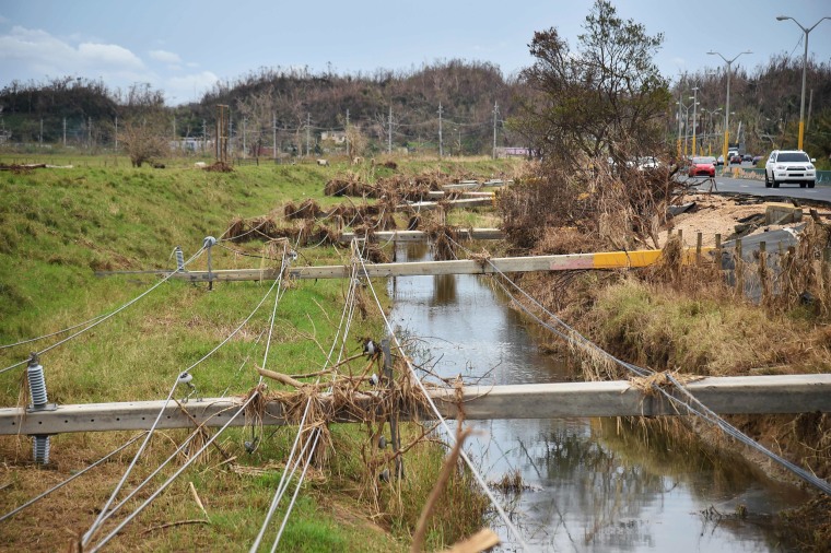 Image: Destroyed electrical posts by Hurricane Maria is seen in Vega Alta, Puerto Rico