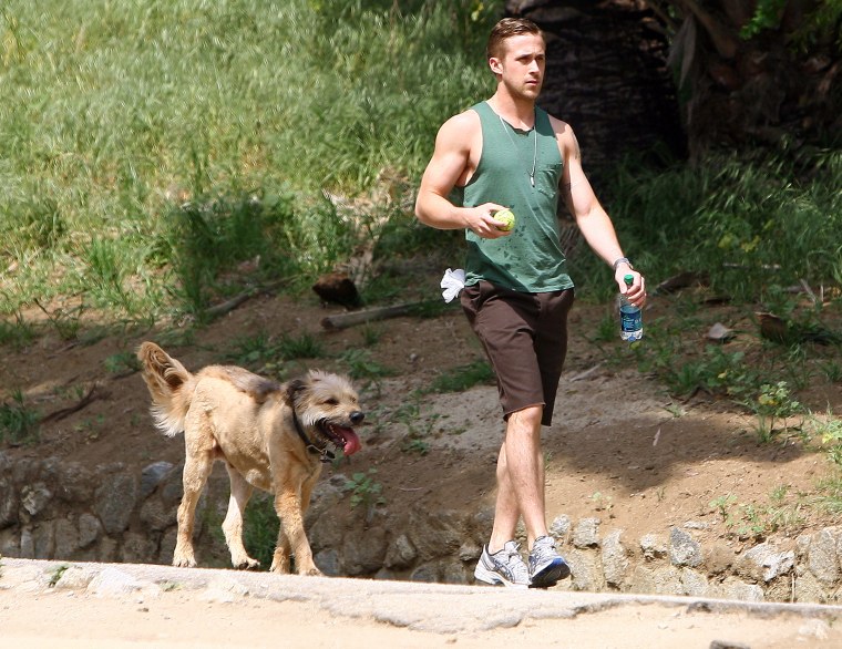 EXCLUSIVE: Ryan Gosling goes hiking with his dog in Los Angeles