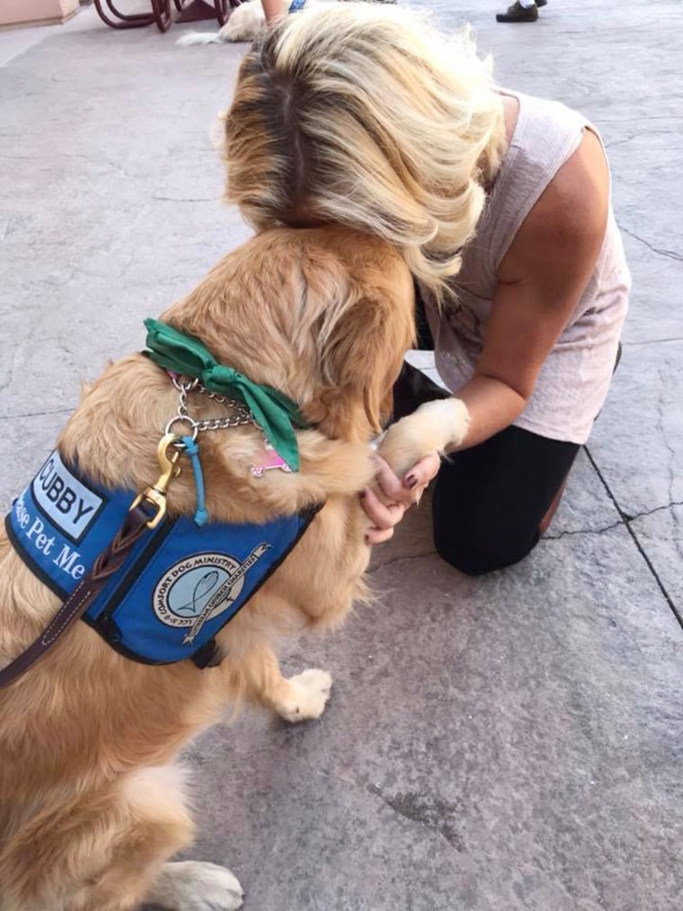 LCC K-9 Comfort Dogs These are trained Comfort Dogs for @lccharities. They interact with people at churches, hospitals, events and in disaster situations.