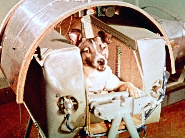 Image: Sputnik II Passenger Laika