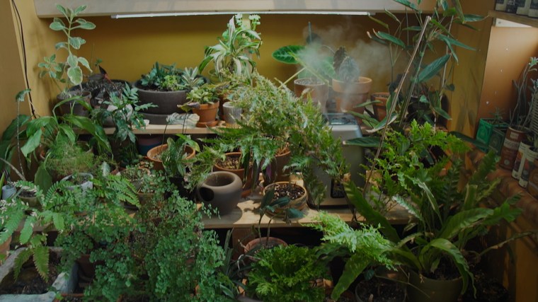 Closet garden