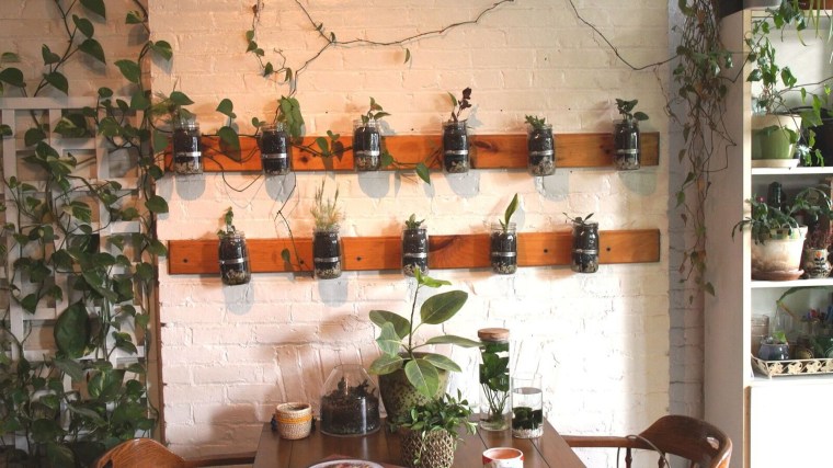 Oakes' Mason jar garden was her first DIY project with her father.