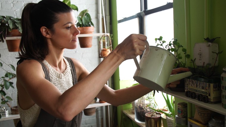 Plant apartment in Brooklyn