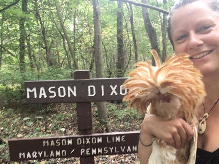 Bolint says Mason was a good hiking companion.