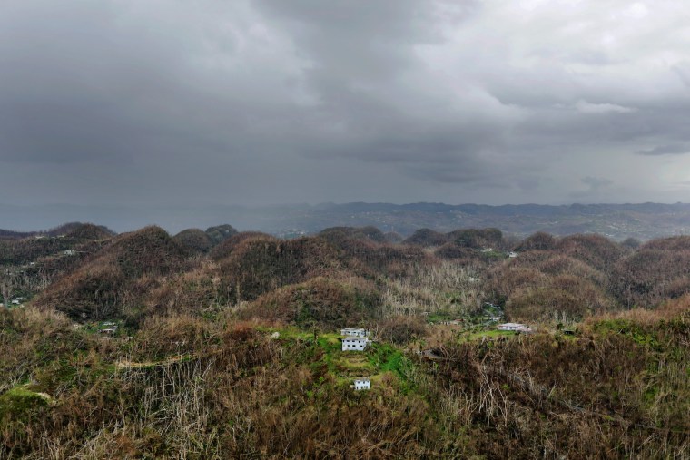 Image: An aerial view shows trees and buildings damaged by Hurricane Maria in Puerto Rico