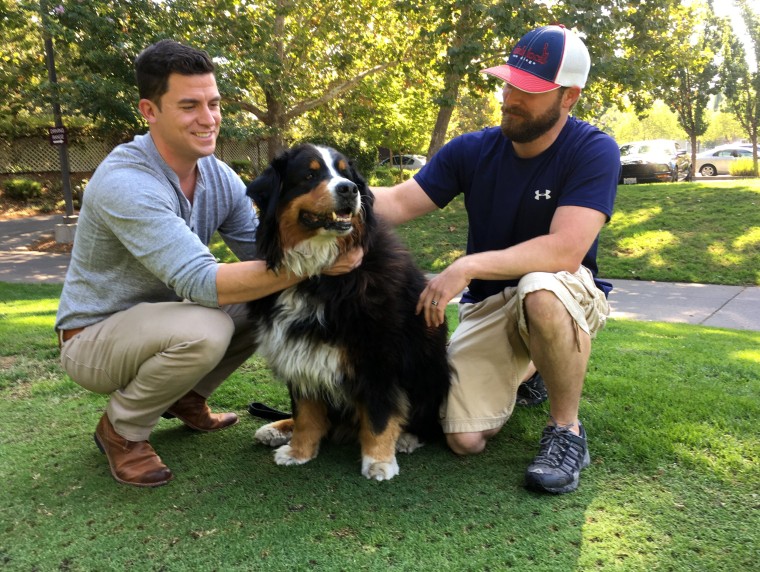 Image: Jack Weaver and his brother in law, Patrick Widen, pose with Izzy, a 9-year-old Bernese Mountain Dog, who belongs to Weaver's parents, Oct. 14, 2017, in Windsor, California.