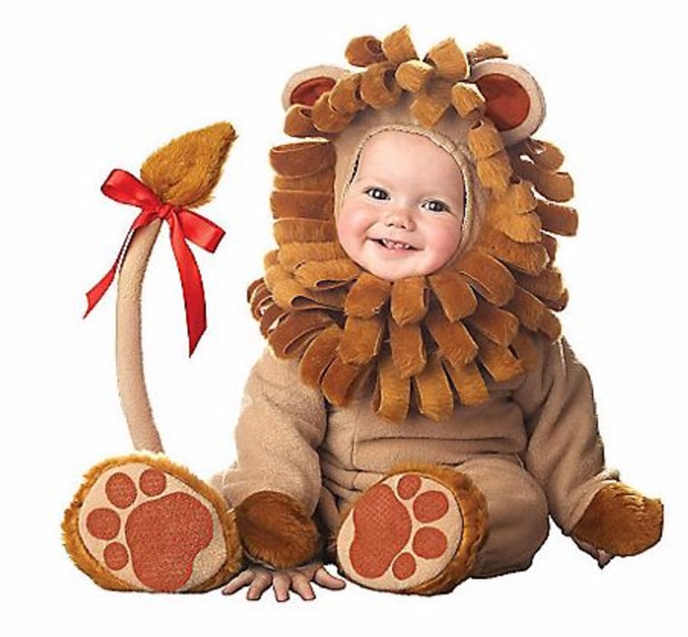 Lion costume