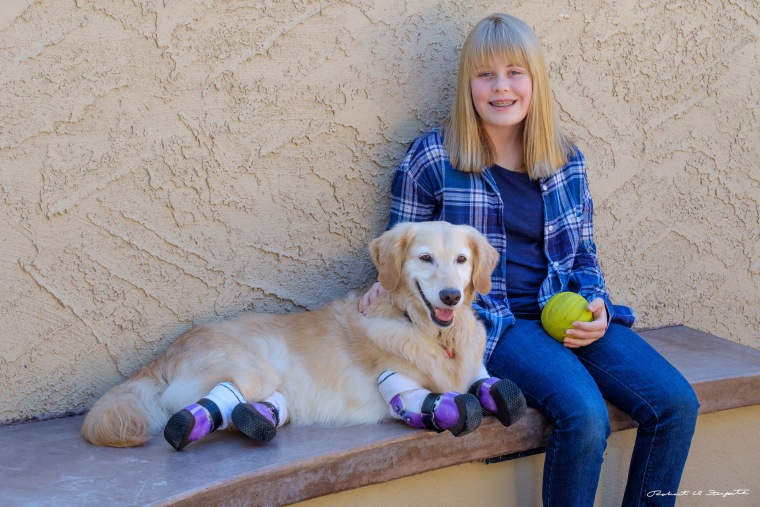 Dog with prosthetic paws now helps others