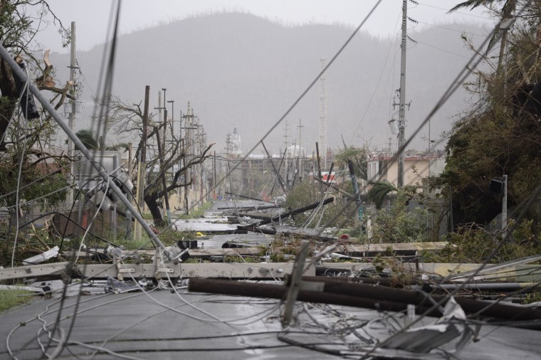 Image: Electricity poles and lines lay toppled on the road after Hurricane Maria hit the eastern region of Puerto Rico