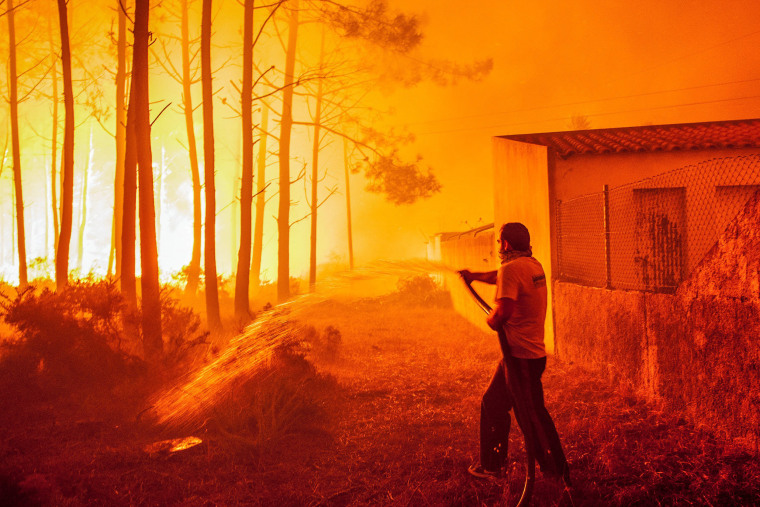 Image: Forest fire in Vieira de Leiria