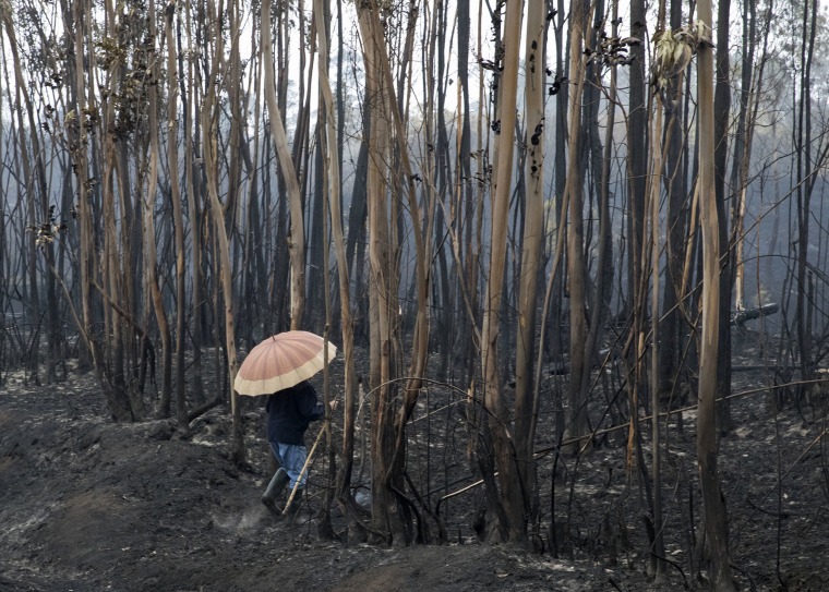 Image: Iberian Wildfires