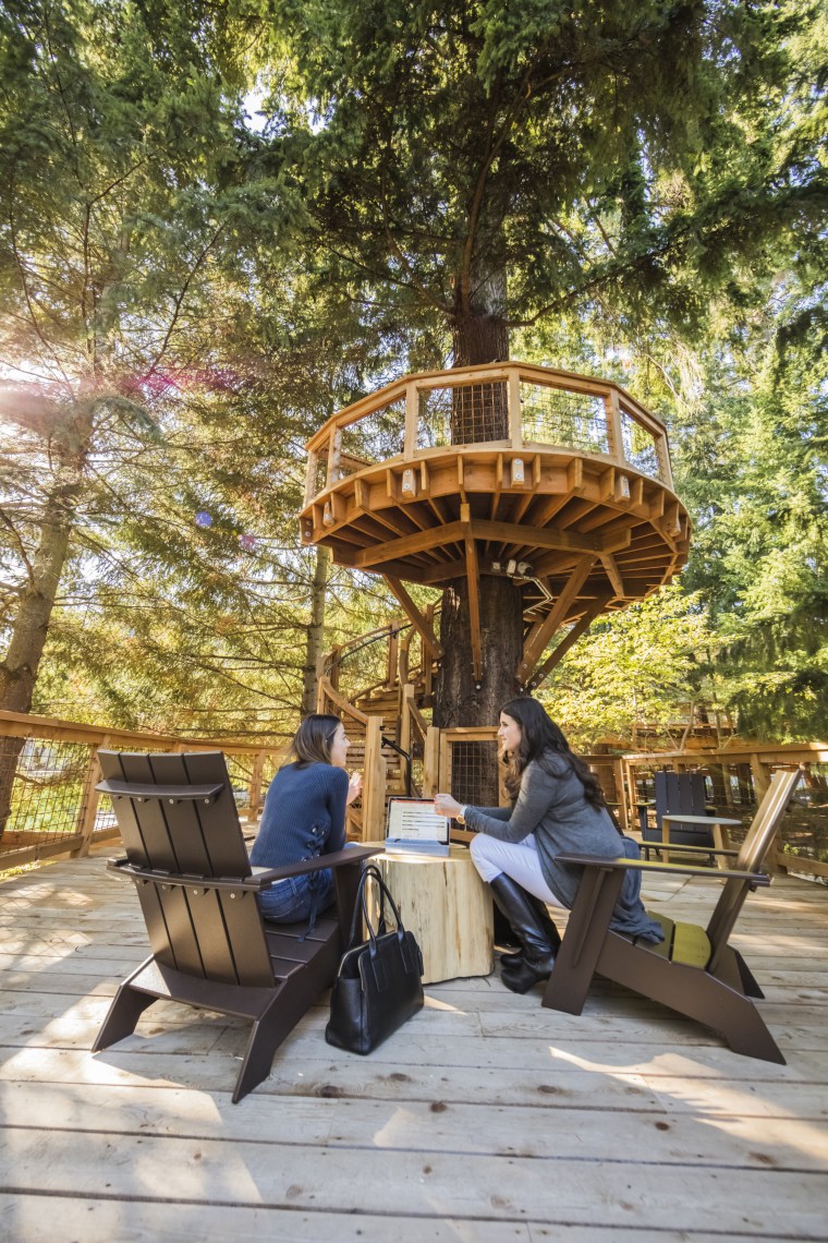 Microsoft Treehouse Meeting Space