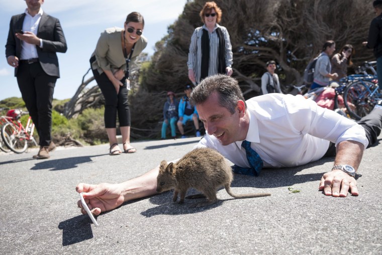 Image: Holiday island Rottnest