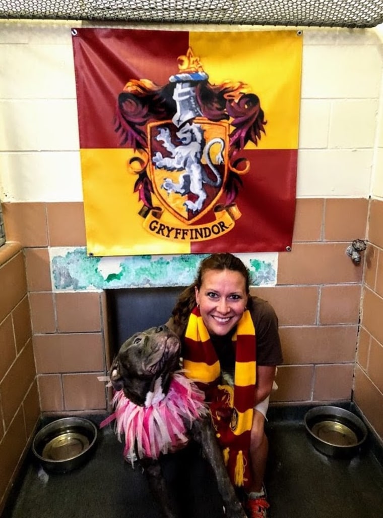 Gryffindor pups are known to be brave and courageous, and are often athletic types.