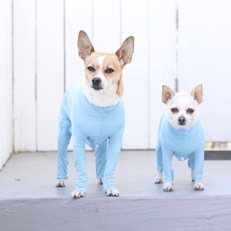 Dog clothes hotsell to stop shedding