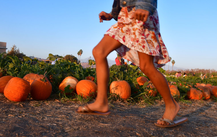 Image: A girl runs through a pumpkin patch in Pomona, California on Oct. 28.