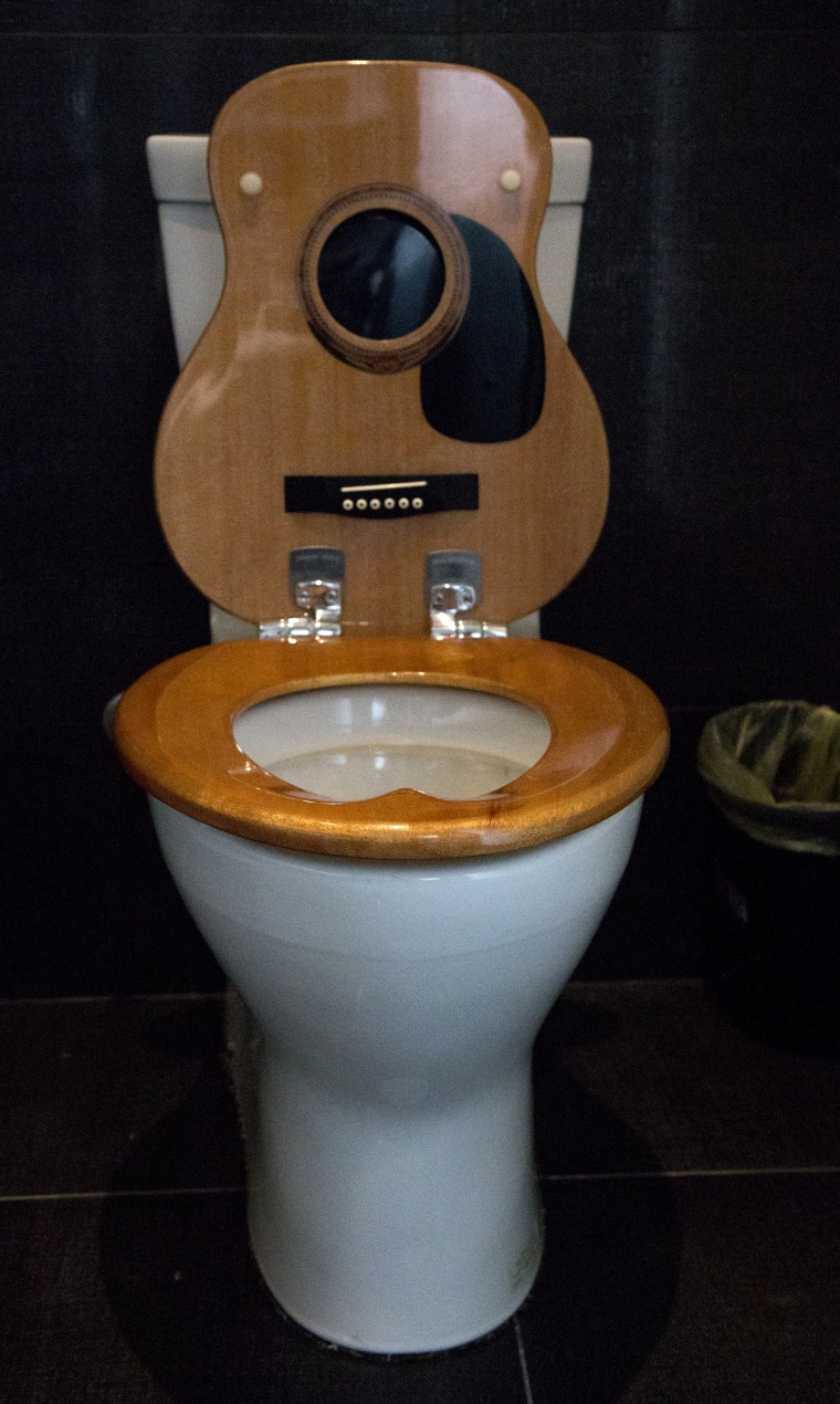 John Rich's Nashville home includes guitar-shaped toilet lids