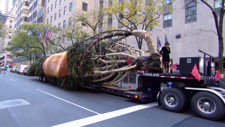 "Last year I was about nine months pregnant so I couldn't ride next to the tree, but now all bets are off!" said TODAY's Dylan Dreyer as she rode with the giant spruce to Rockefeller plaza.