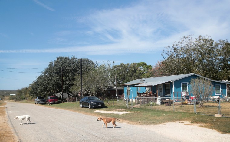 Image: Stray dogs walk across a street near the First Baptist Church of Sutherland Springs