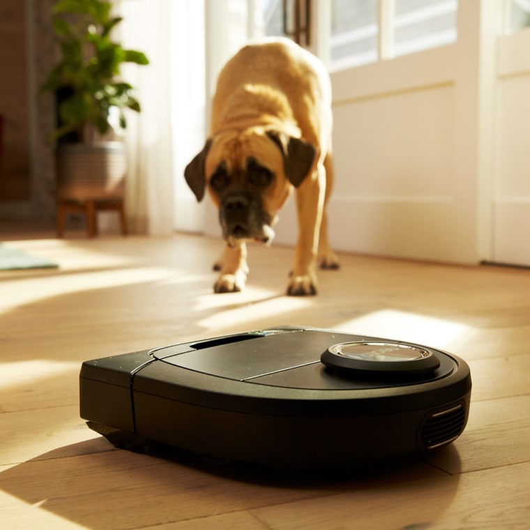 The Neato robotic vacuum gets to work via an app or Amazon's Alexa. And cats love to watch it.