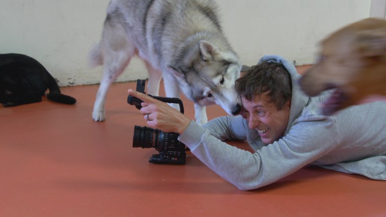 DogTV founder, Ron Levi, shoots material for his television station for dogs.