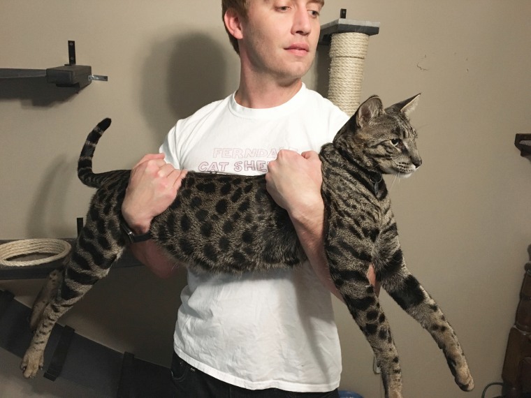 Image: Will Powers holds his cat Arcturus