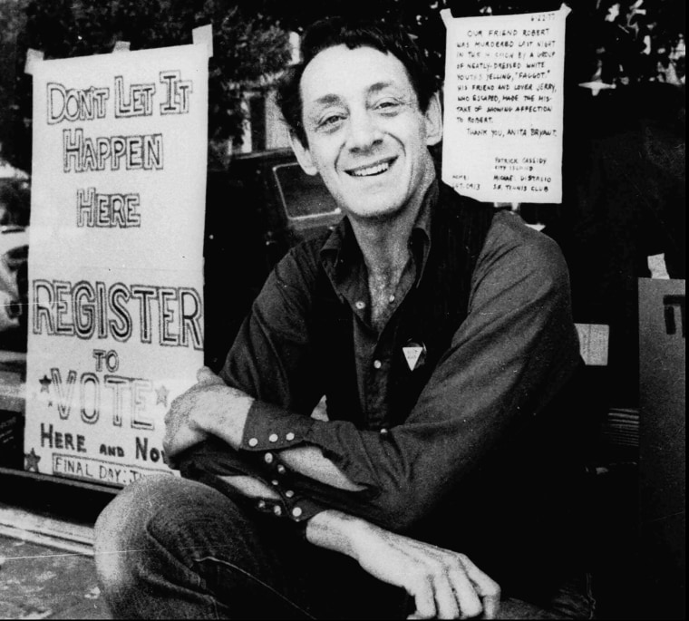 Image: Harvey Milk