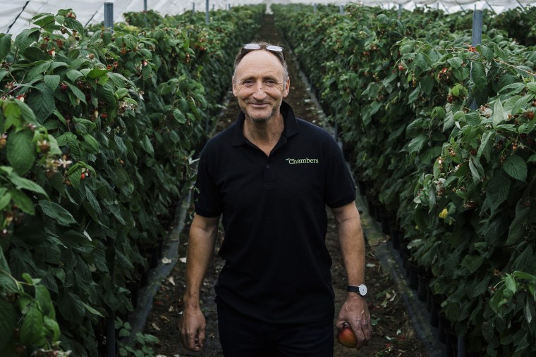 Image: British farmer Tim Chambers at Oakdene Farm