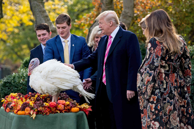 Image: US President Donald Trump pardons Thanksgiving turkey Drumstick