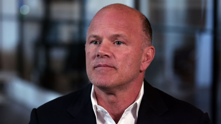 Image: Mike Novogratz