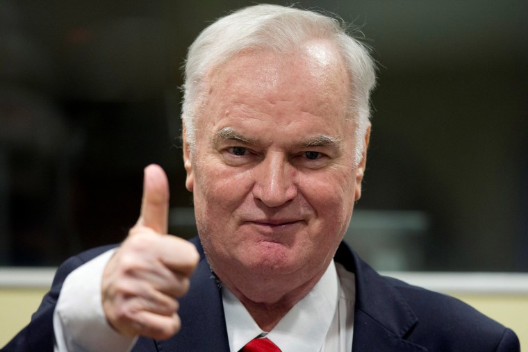 Image: Ex-Bosnian Serb wartime general Ratko Mladic