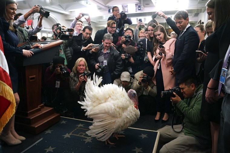 Image: BESTPIX - President Trump And First Lady Melania Hold National Thanksgiving Turkey Pardoning Ceremony