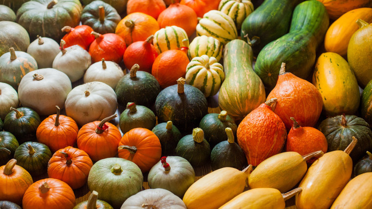 horizontal photo of heirloom different varieties squashes and pumpkins; Shutterstock ID 719871823; Purchase Order: -