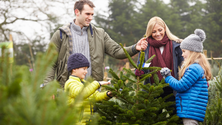 Family, Christmas Tree farm